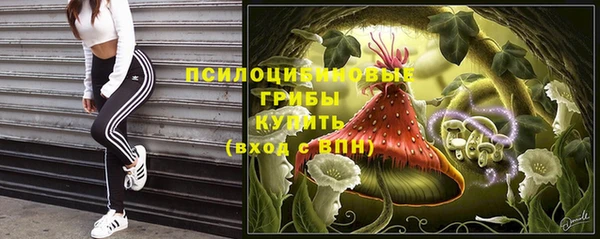 меф Козельск