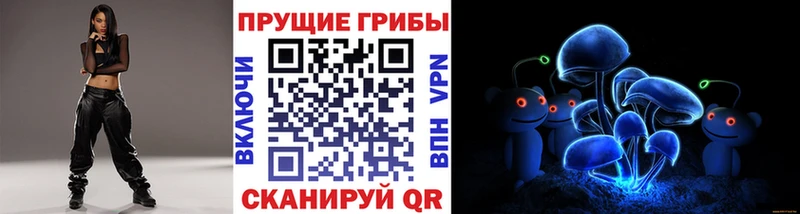 Купить где  Мураши  Псилоцибиновые грибы мухоморы 